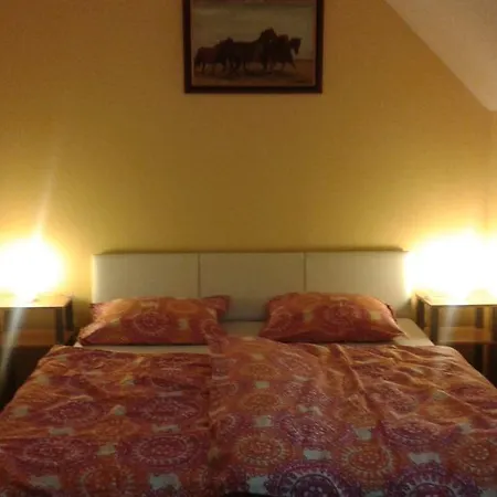 Zafir Panzio Es Etterem Balatongyörök
